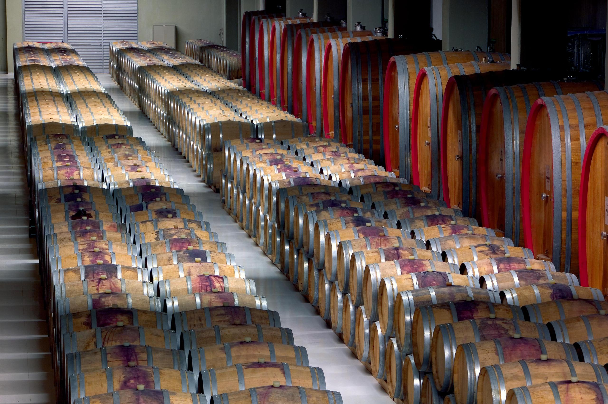 la-distesa-di-barriques-a-perdita-docchio
