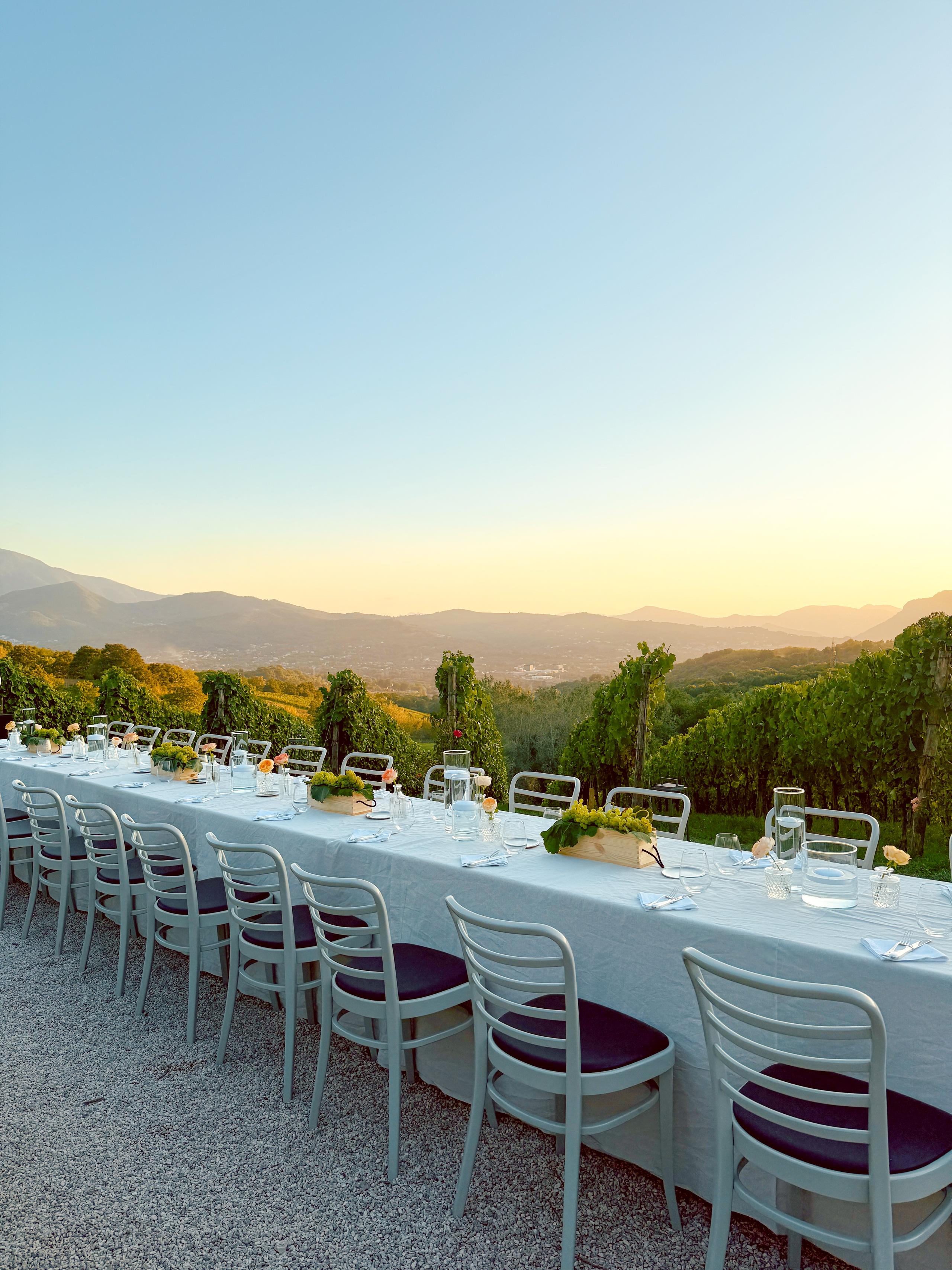 Festa privata in vigna