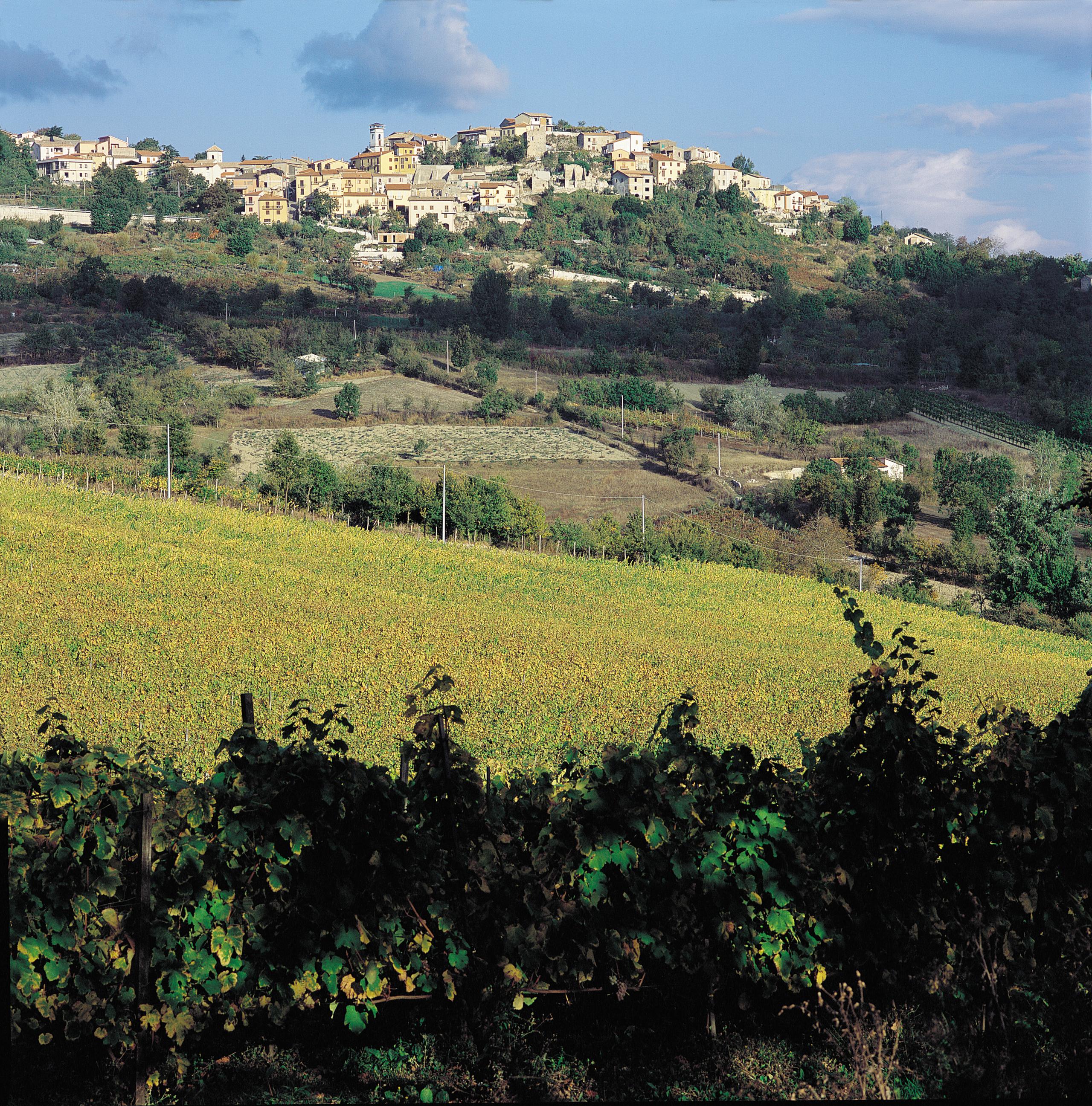 I due volti dell'Irpinia 1