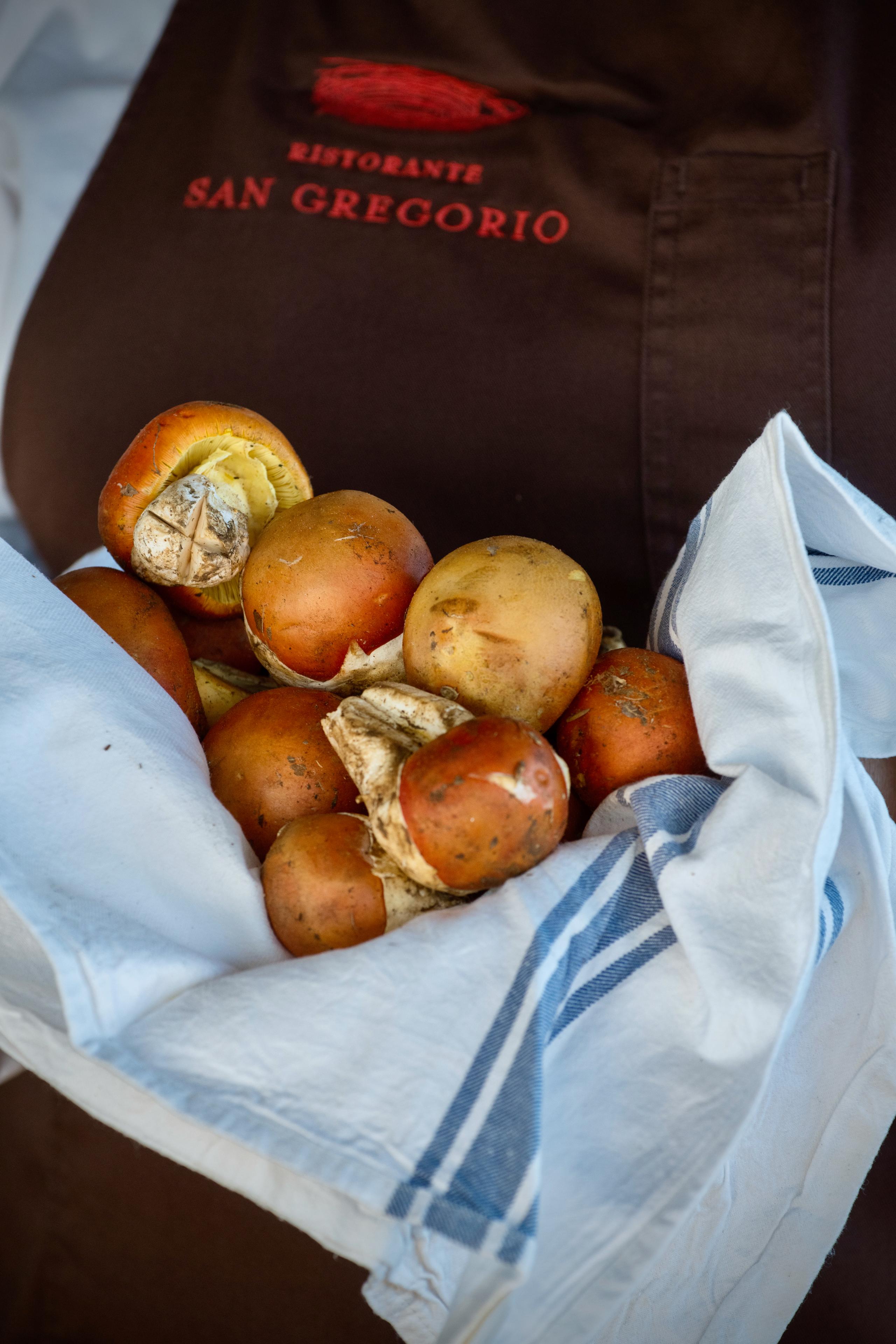 Gli ingredienti del nostro orto