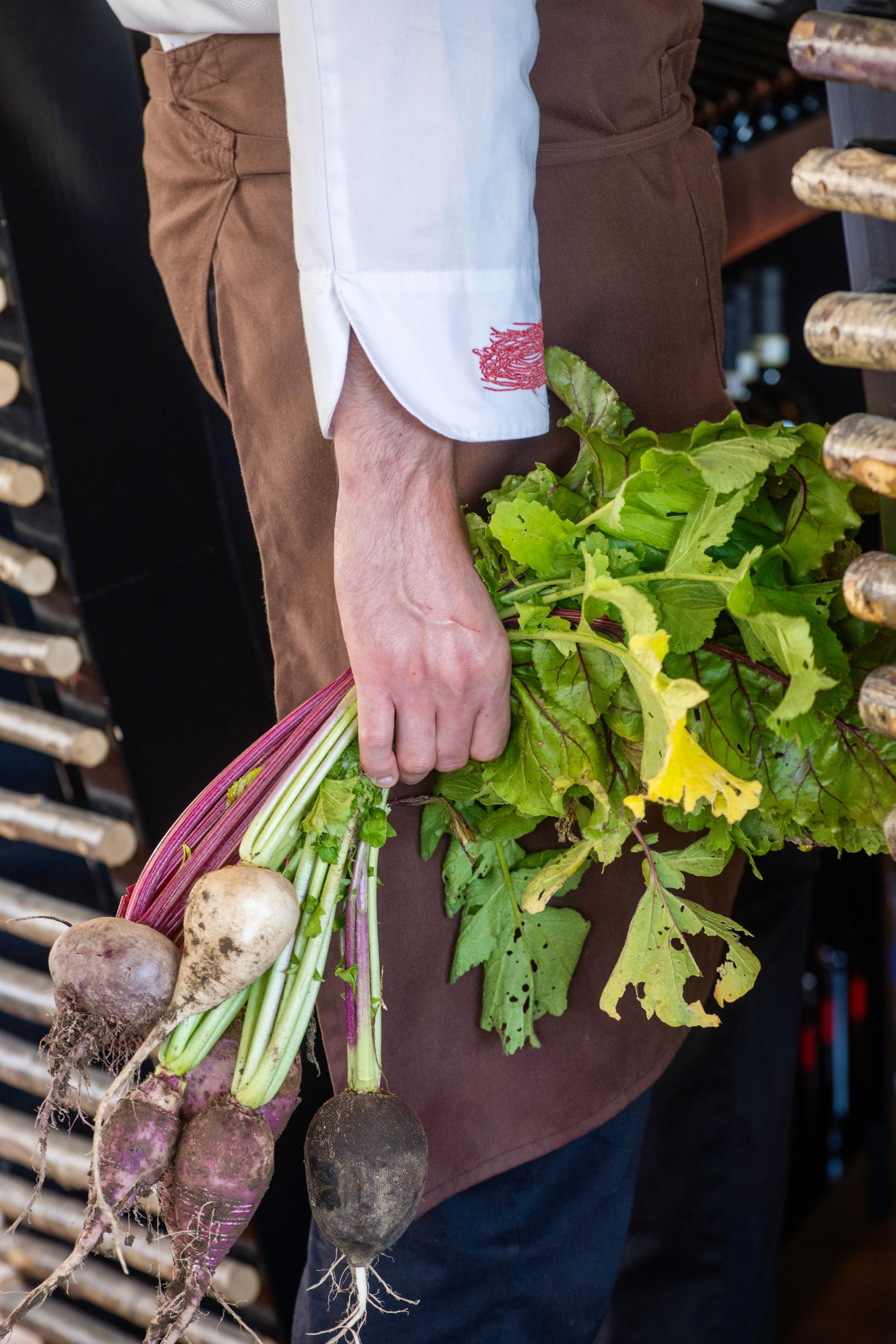 Gli ingredienti del nostro orto gallery - 2