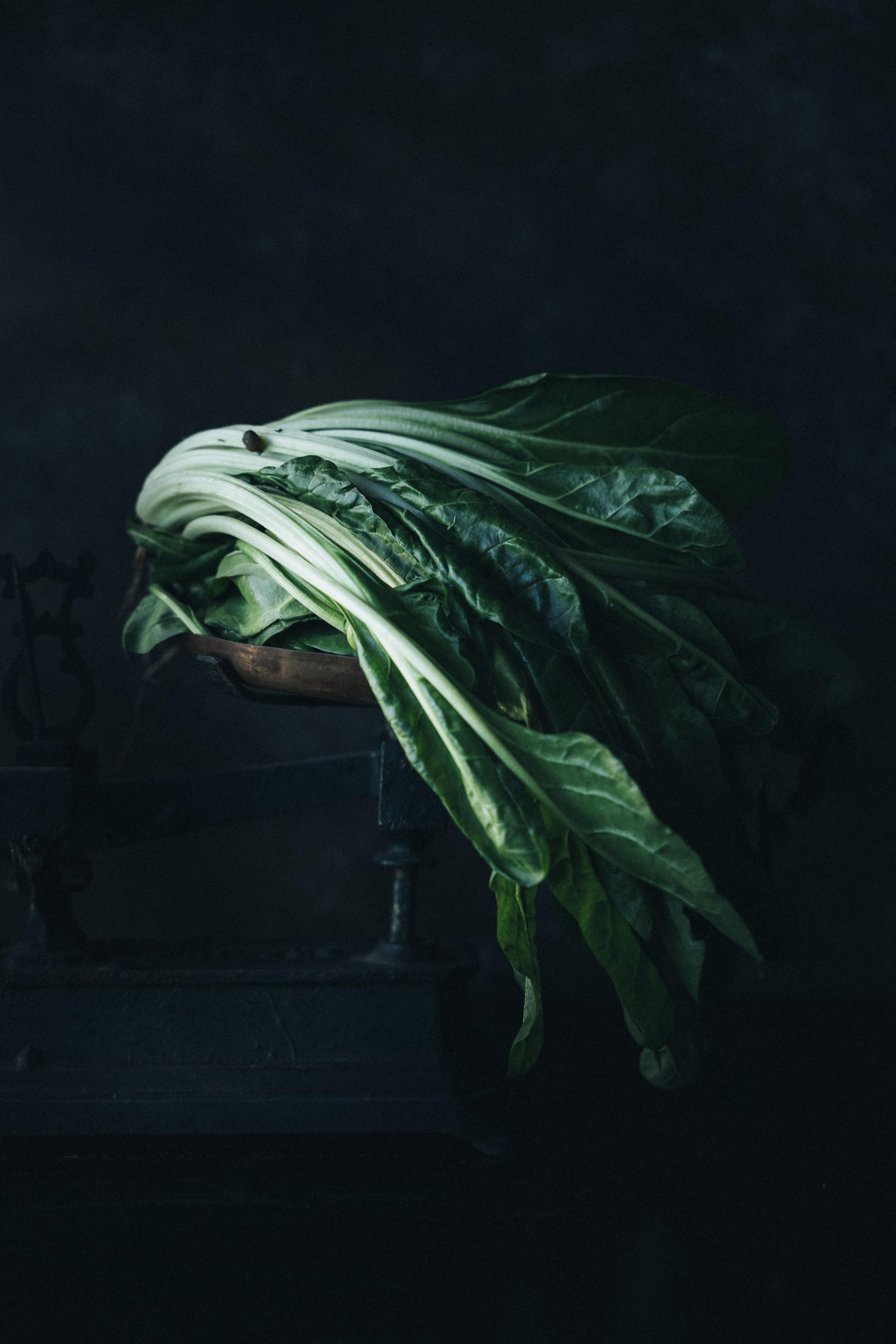 Gli ingredienti del nostro orto gallery - 8