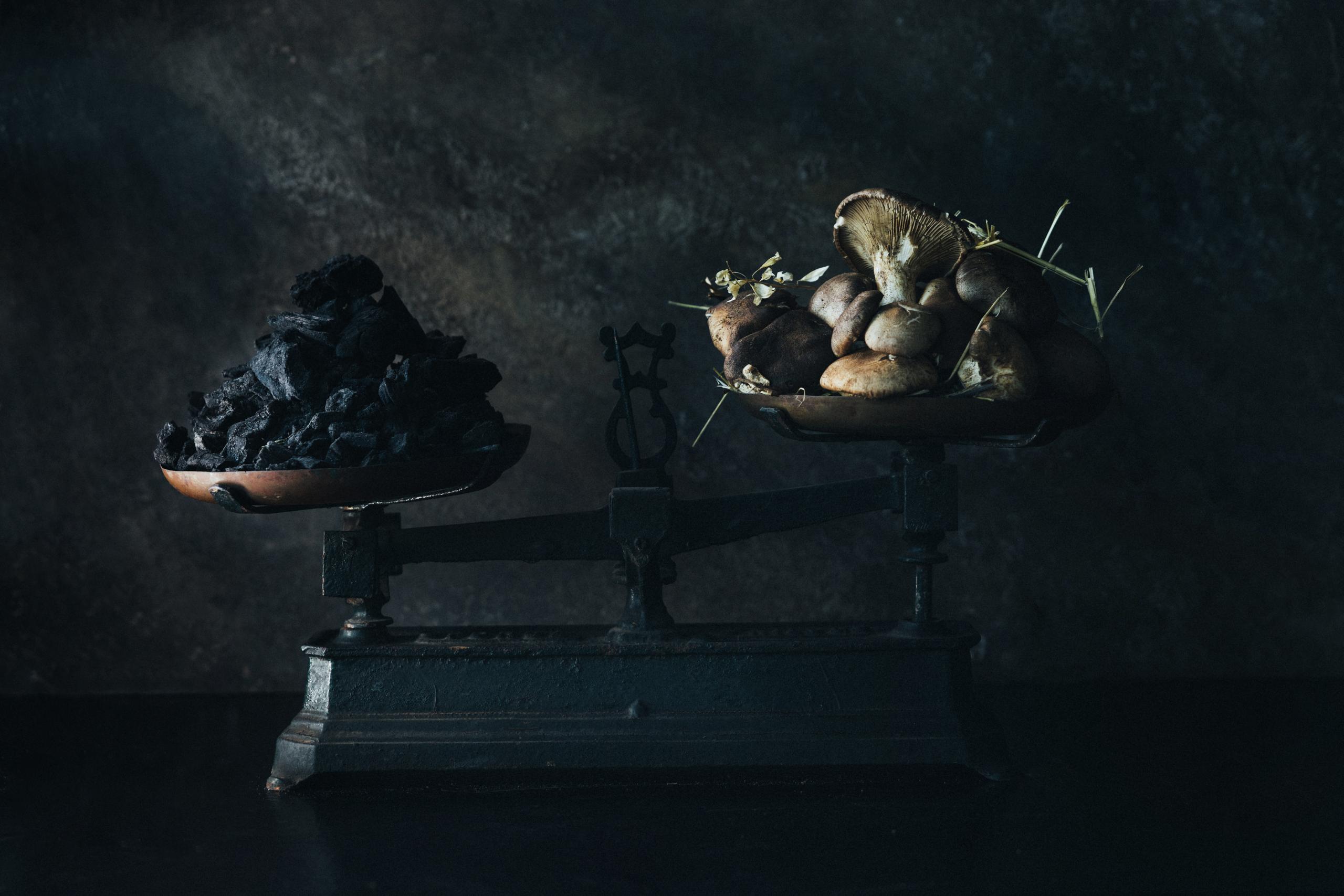 Gli ingredienti del nostro orto gallery - 3