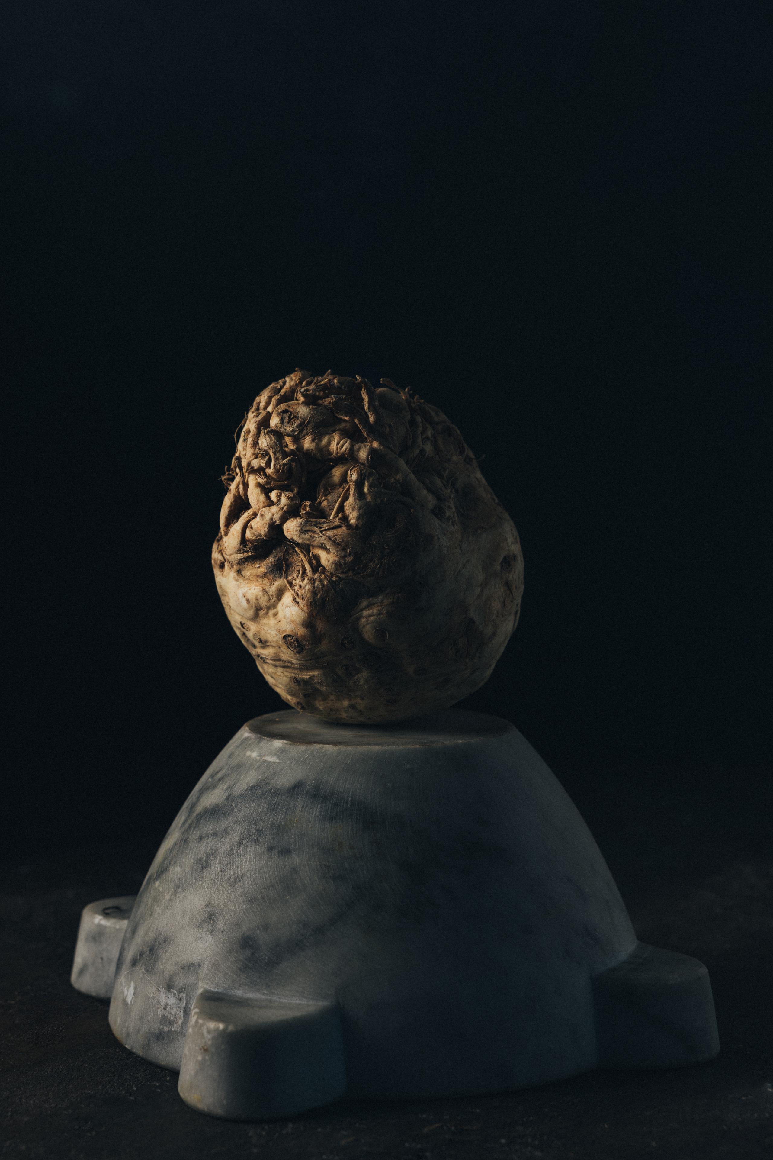 marenna-11apr2227324
